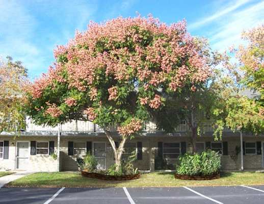 El Dorado Apartments property